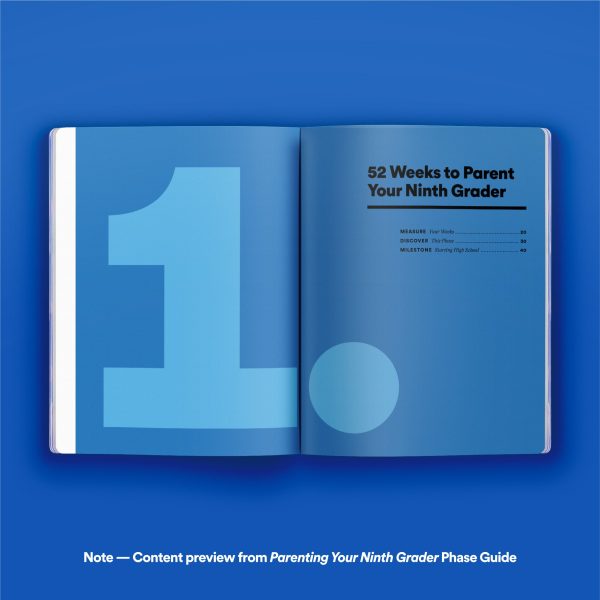 Phase Guide - Parenting Your Twelfth Grader: A Guide to Making The Most of the  What s Next?  Phase Cheap - Image 3