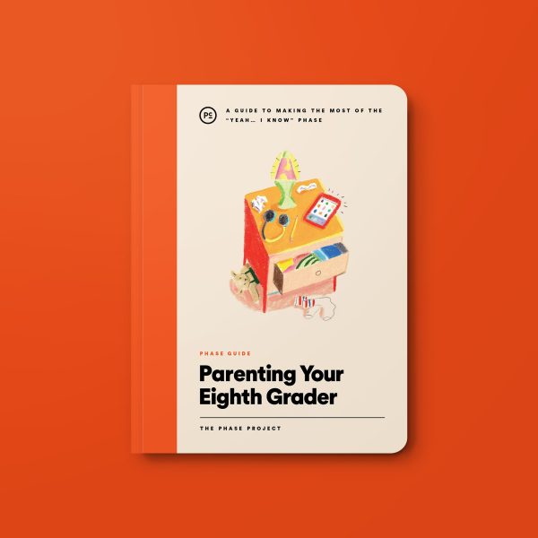 Middle School Phase Guide Bundle - Set of 3 Books Online - Image 4