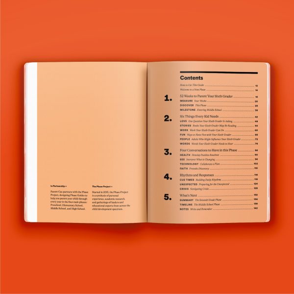 Middle School Phase Guide Bundle - Set of 3 Books Online - Image 5